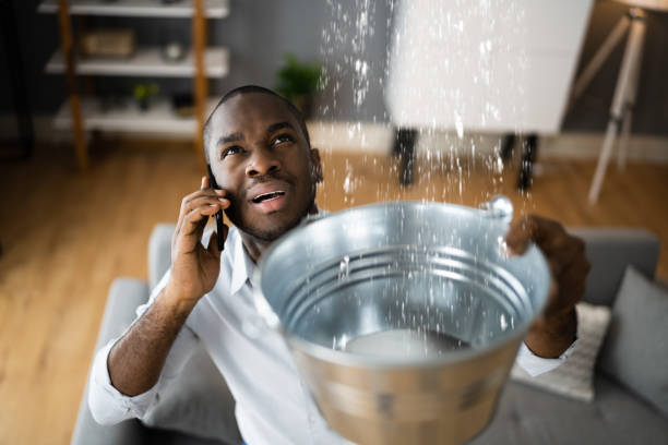 Best Water damage restoration services  in Seth Ward, TX