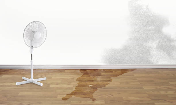 Best Sewage cleanup and water damage restoration  in Seth Ward, TX