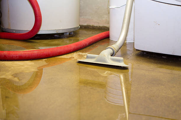 Best Flood restoration services  in Seth Ward, TX